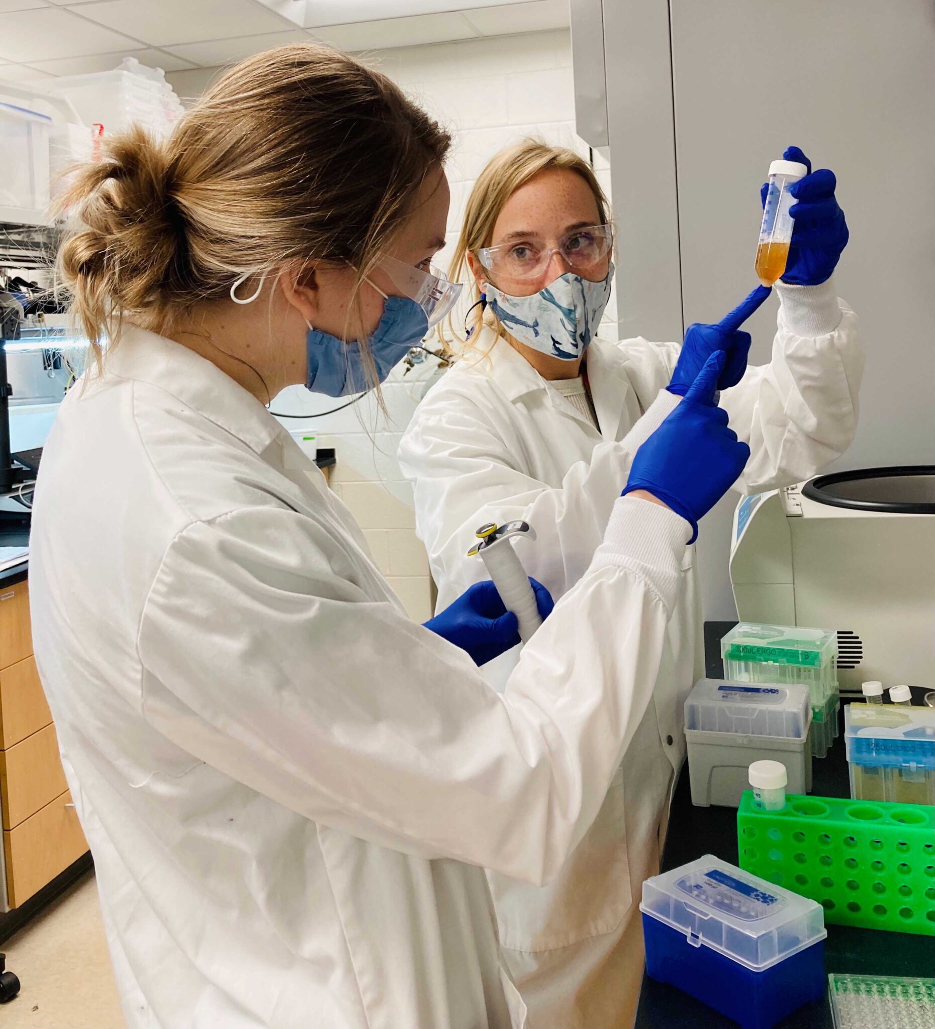 The Kleiner Lab – Metabolism, physiology, and evolutionary ecology of ...